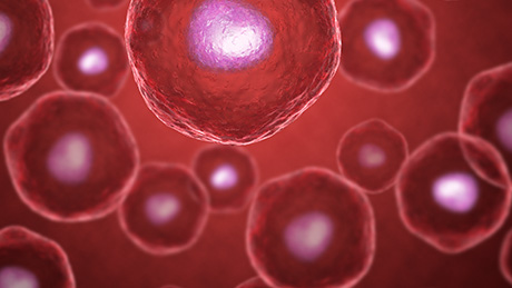 Stem Cell Therapeutics